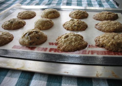 Chocolate Chip Cookies (Gluten-Free)