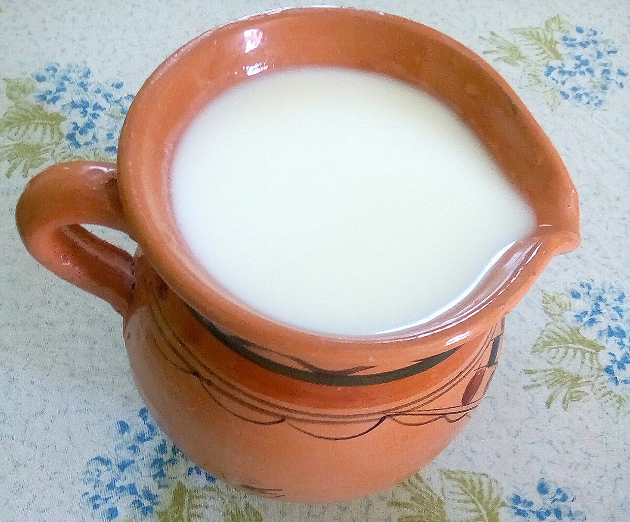 Leben (Middle Eastern Sour Milk)