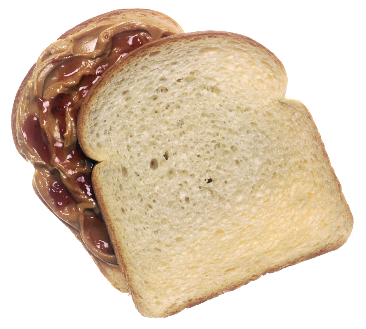 Peanut Butter and Jelly Sandwich