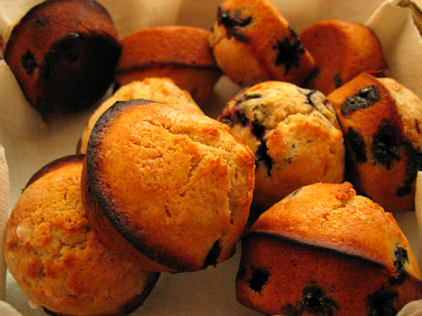 Blueberry Muffin