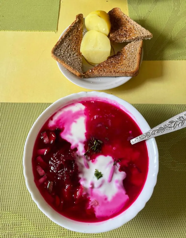 Lithuanian Cold Borscht