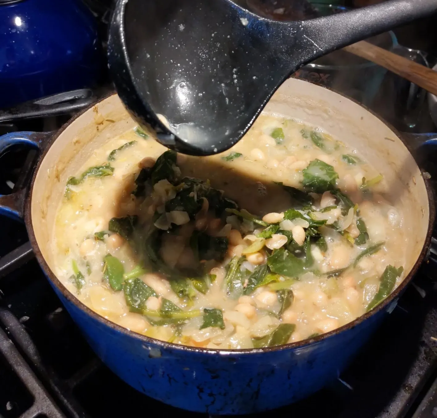 Fennel White Bean and Kale Soup