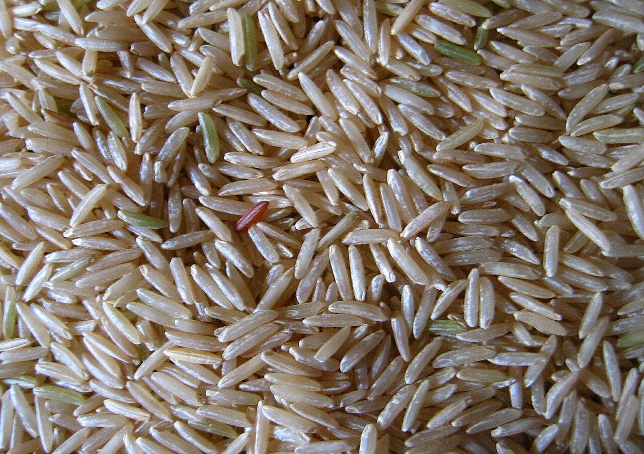 Steamed Basmati Rice
