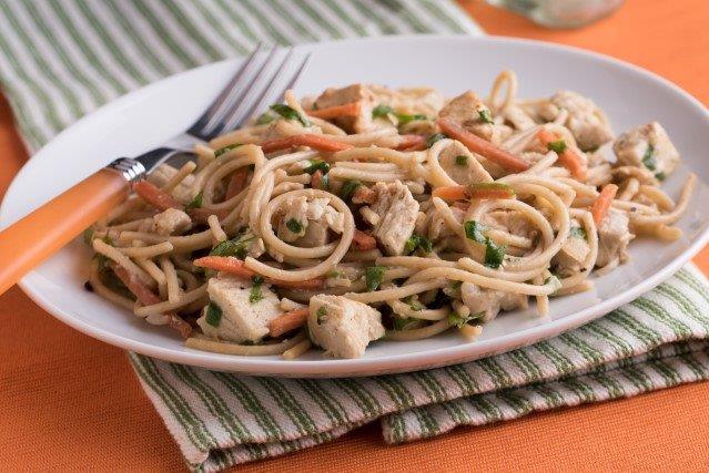 Chicken or Turkey Noodles